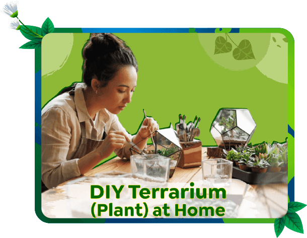 DIY Terrarium (Plant) at Home