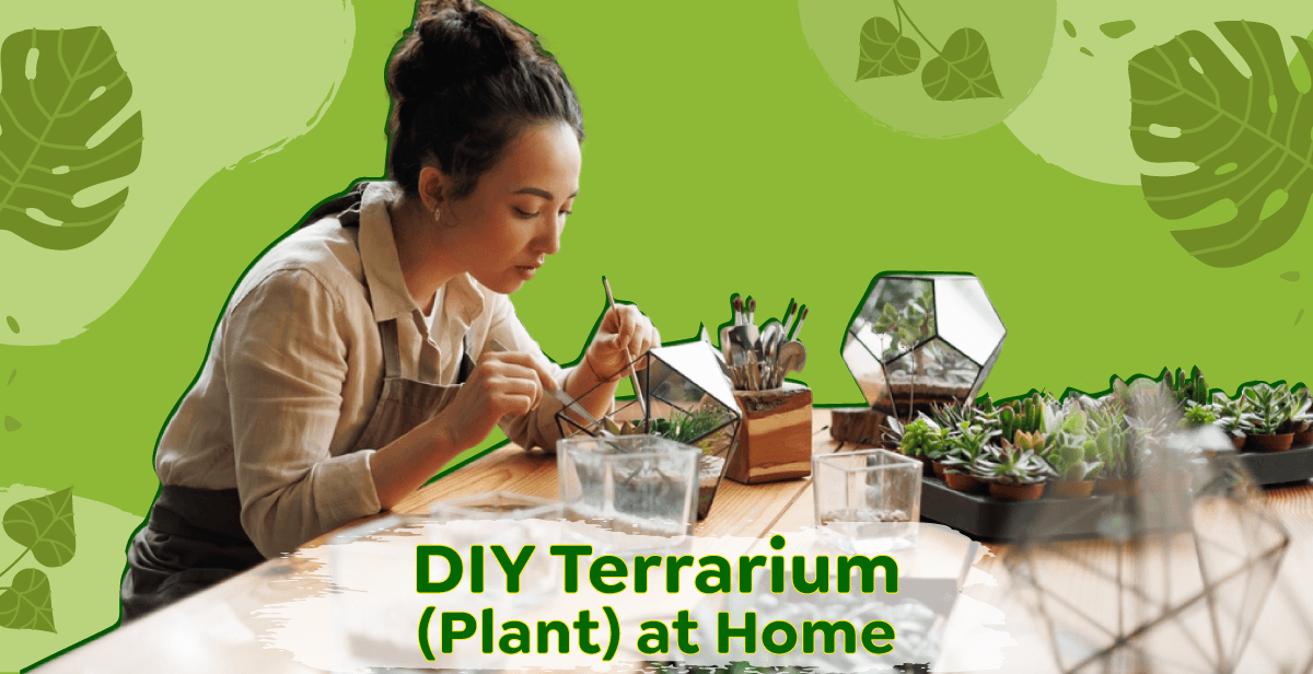 diy-terrarium-plant-at-home