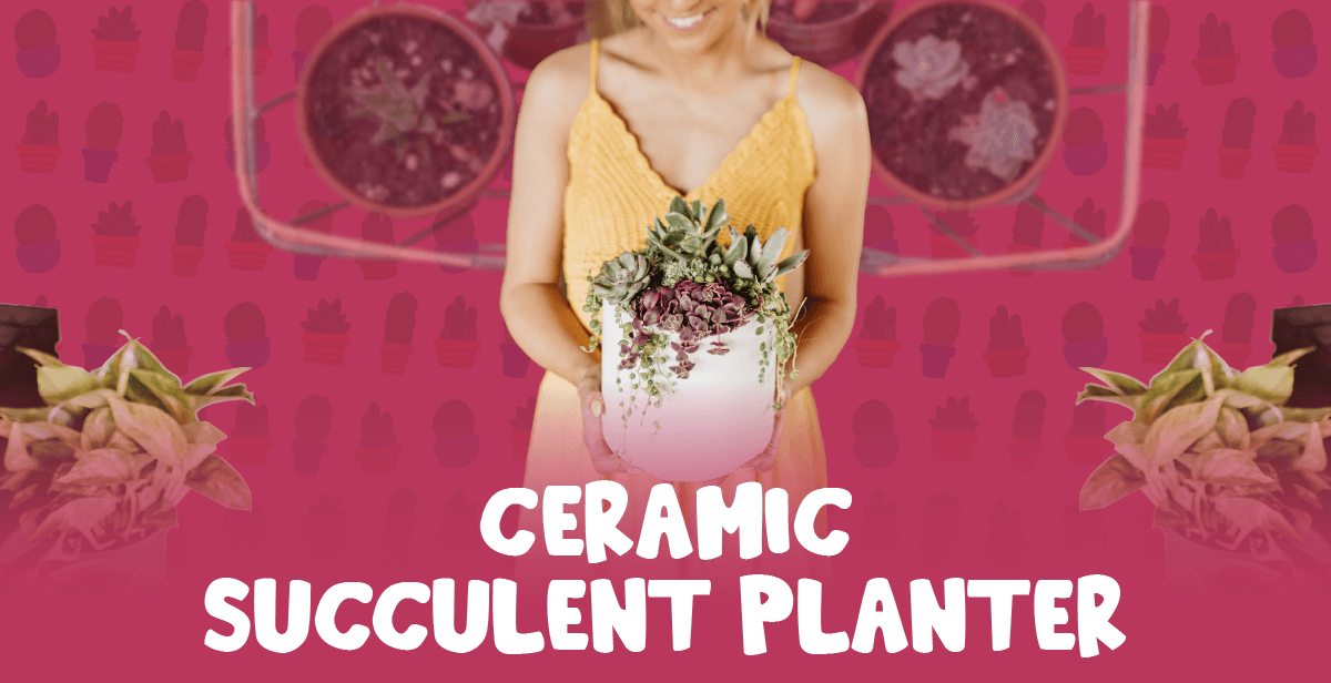 virtual-ceramic-succulent-planter