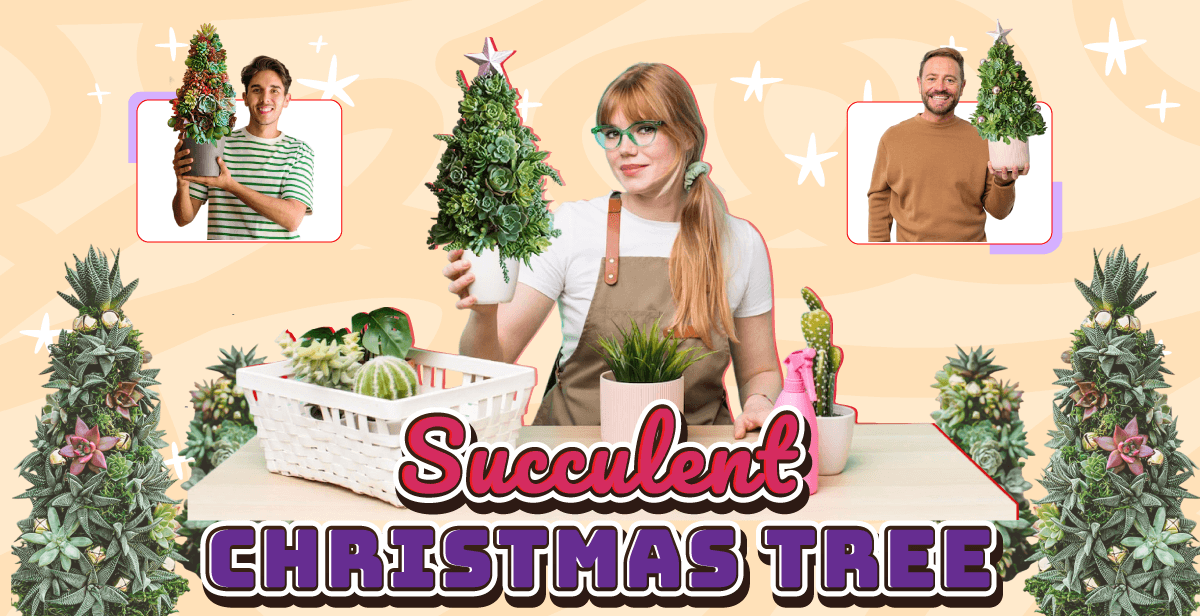 virtual-succulent-christmas-tree