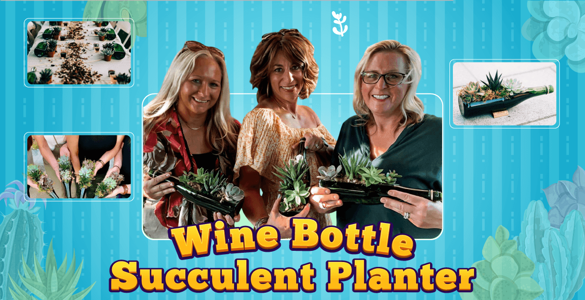 virtual-wine-bottle-succulent-arrangement